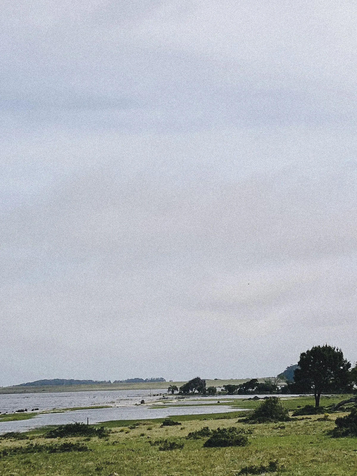 Campo uruguayo